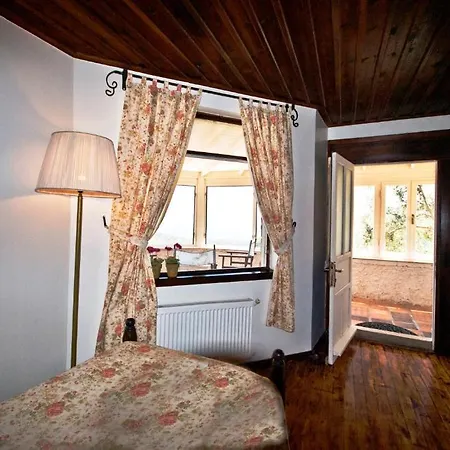 Pinecone Boutique Hotel