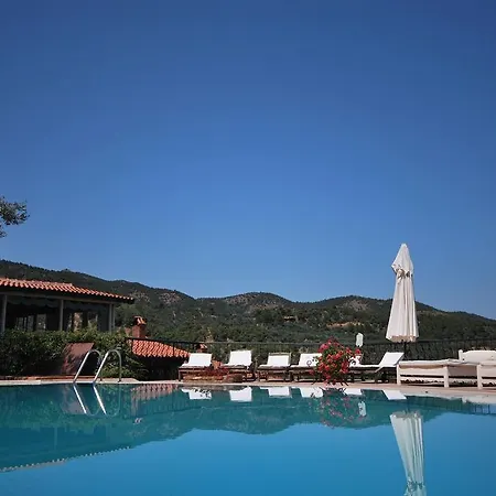 Hotel Pinecone Boutique Hotel 5*