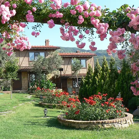 Hotel Pinecone Boutique Hotel 5*